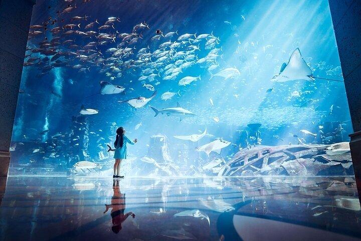 Lost World Aquarium