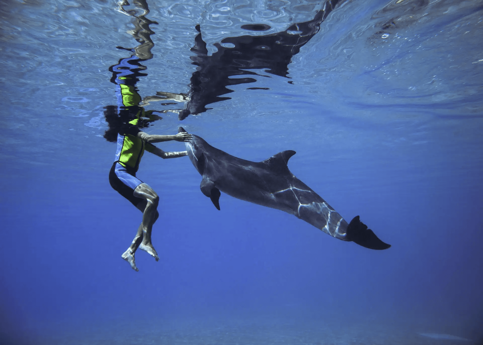 Dolphin Swim + Atlantis Aquaventure Waterpark