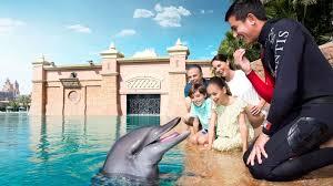 Dolphin Meet & Greet + Atlantis Aquaventure Waterpark
