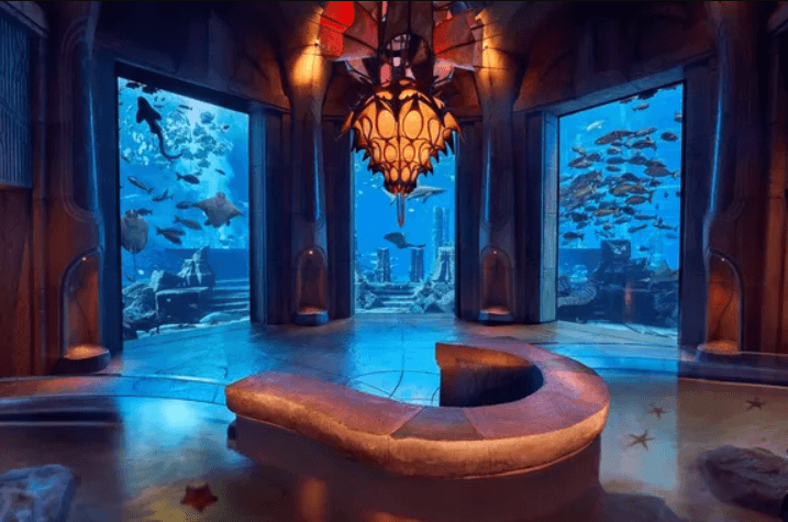 Lost World Aquarium