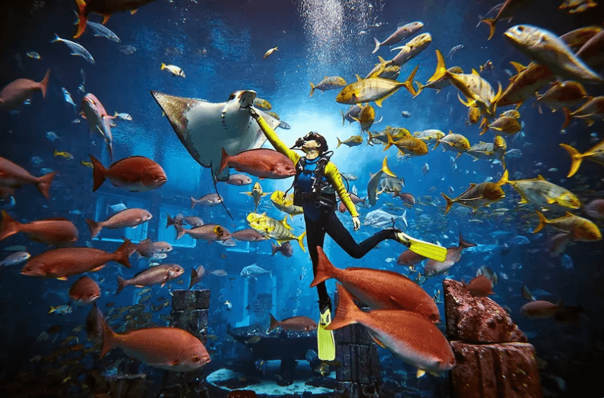 Lost World Aquarium