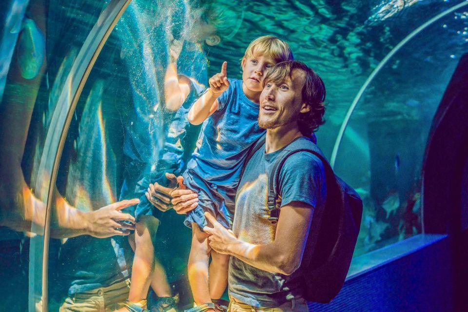 Dubai Aquarium & Underwater Zoo + Penguin Cove