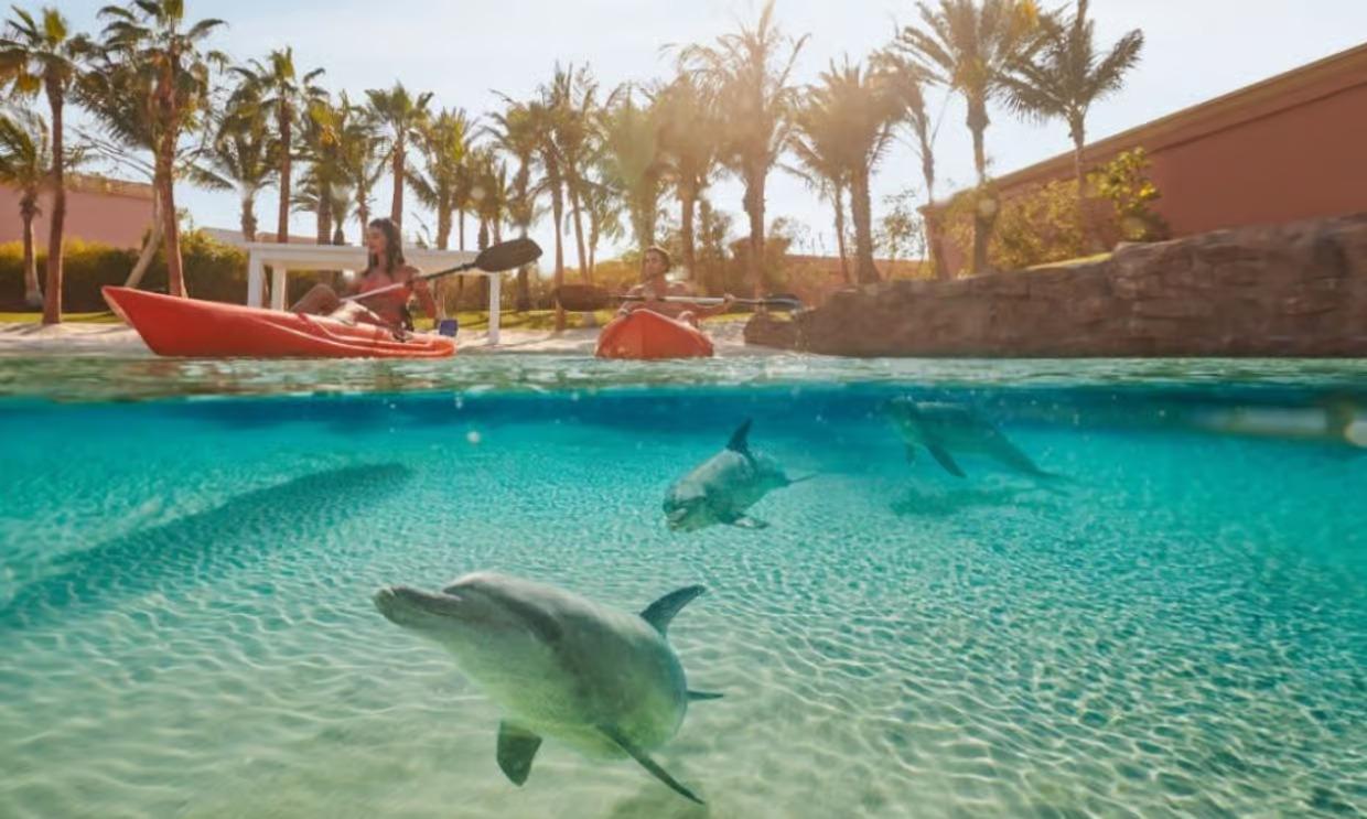 Dolphin Kayak + Atlantis Aquaventure Waterpark