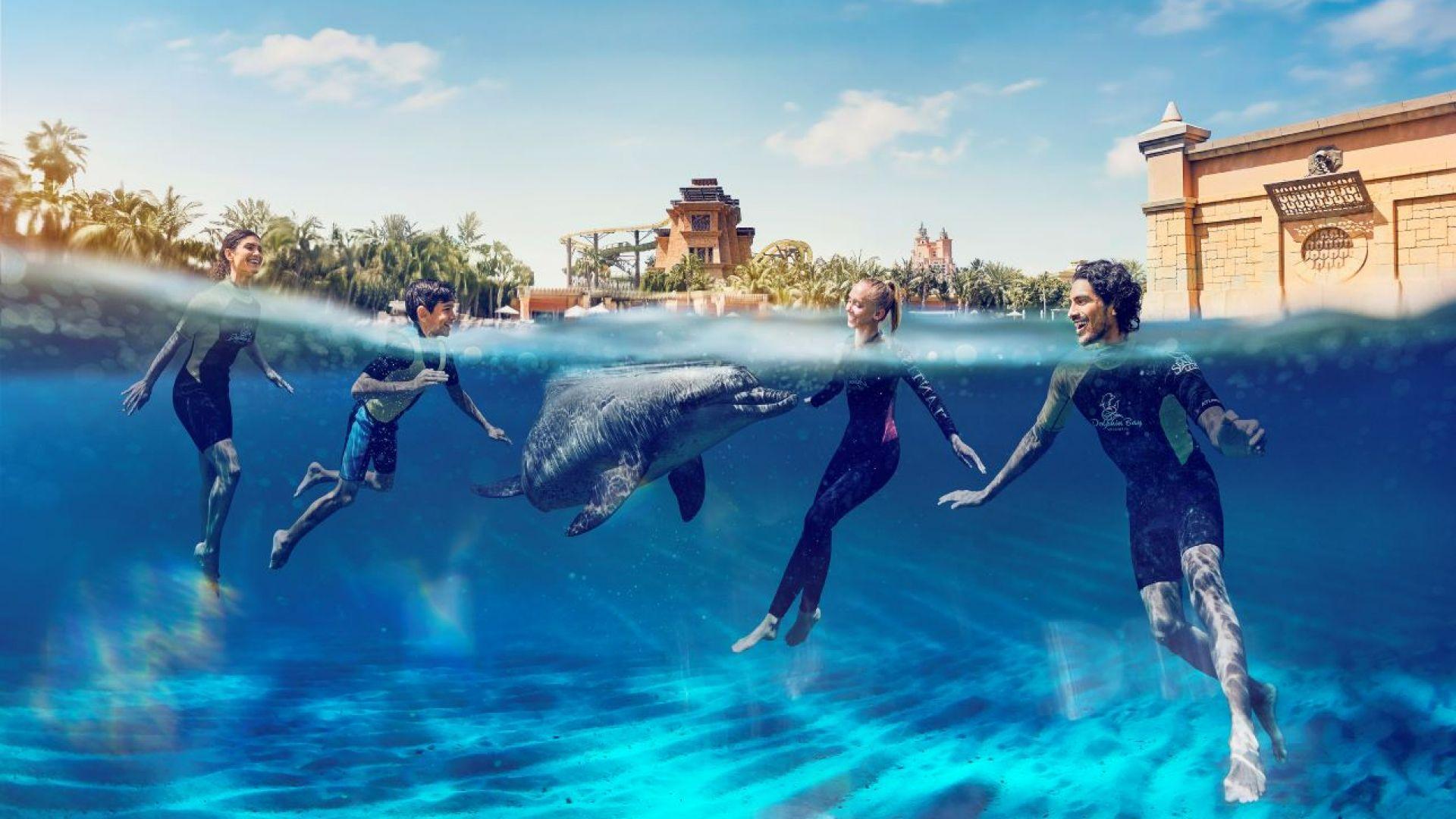 Dolphin Swim + Atlantis Aquaventure Waterpark