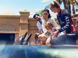 Dolphin Meet & Greet + Atlantis Aquaventure Waterpark