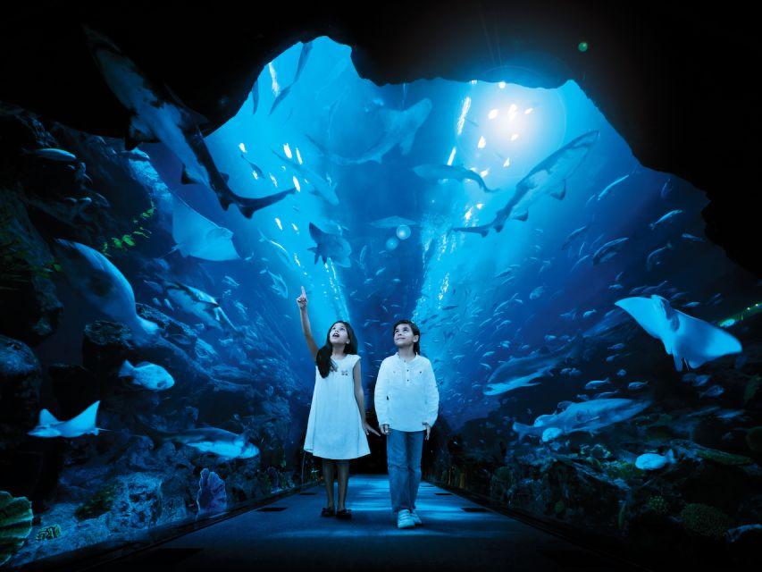 Dubai Aquarium & Underwater Zoo + Penguin Cove