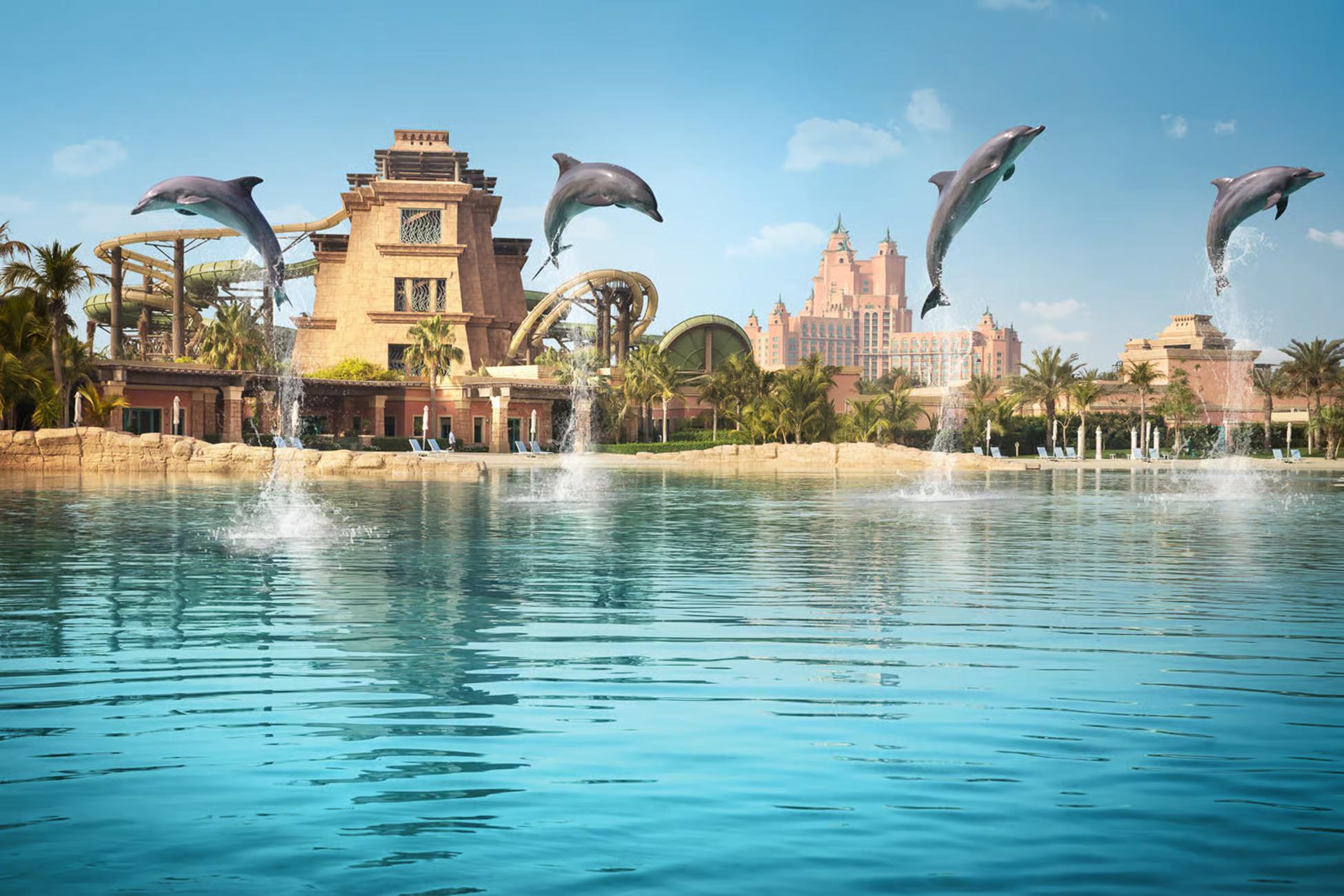 Dolphin Encounter + Atlantis Aquaventure Waterpark