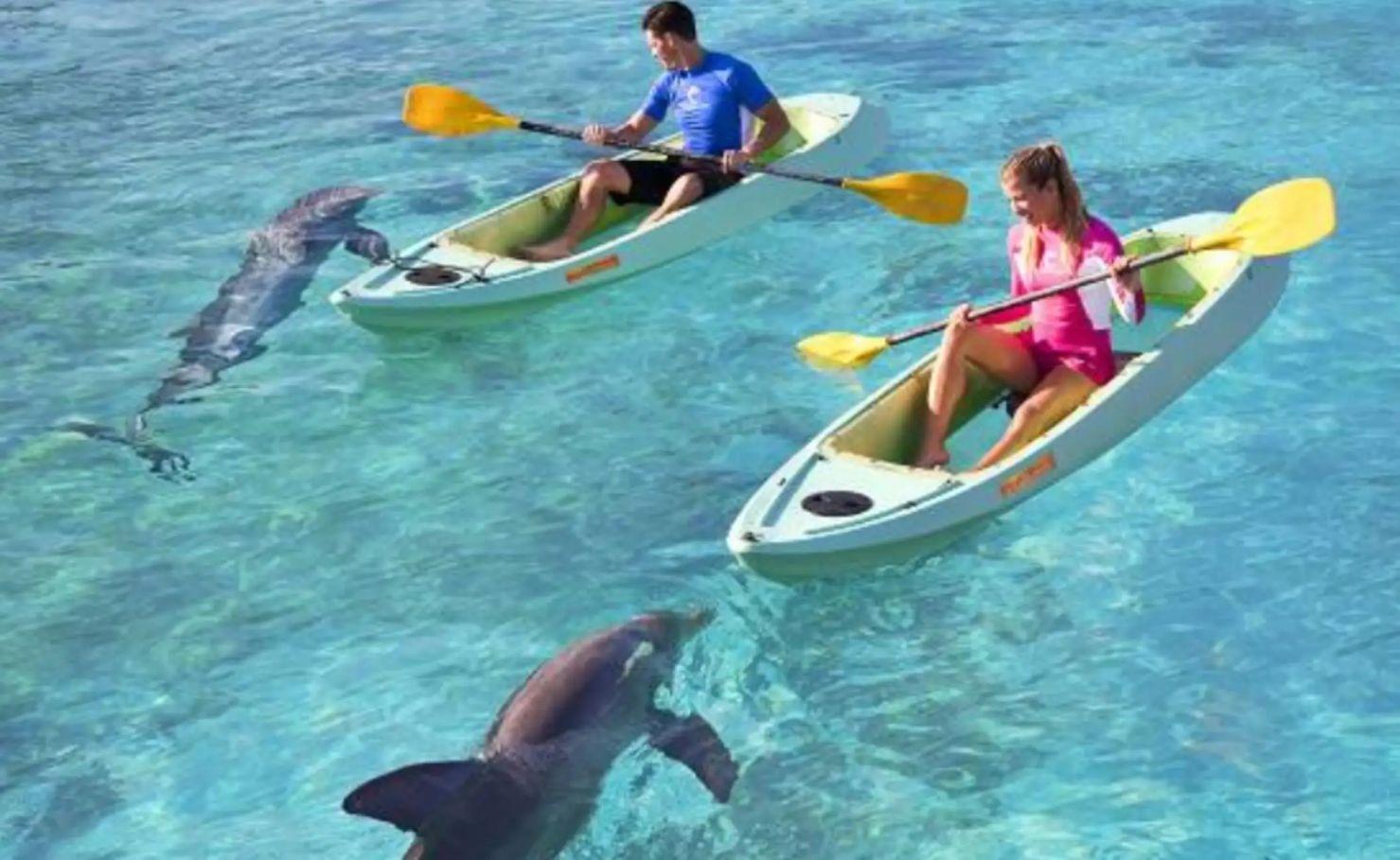 Dolphin Kayak + Atlantis Aquaventure Waterpark
