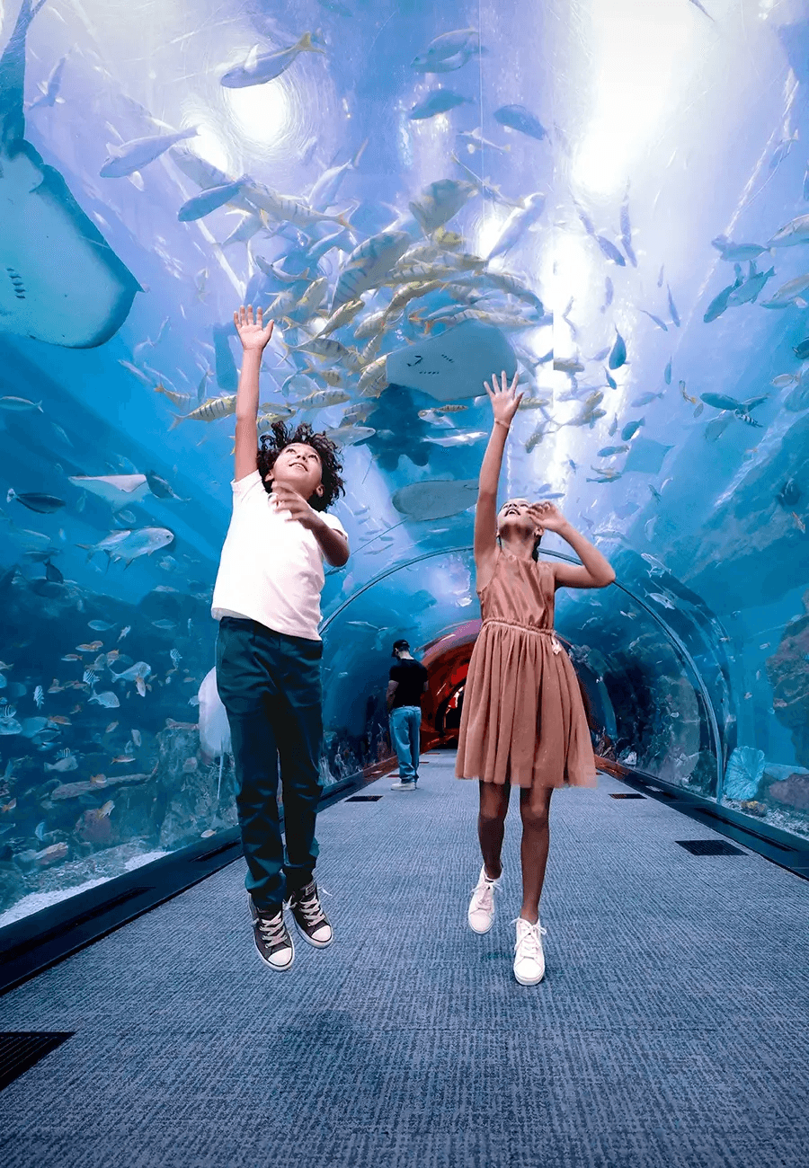 Dubai Aquarium & Underwater Zoo + Penguin Cove
