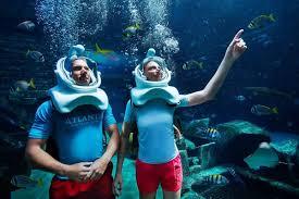 Atlantis Aqua Trek + Free Lost World Aquarium