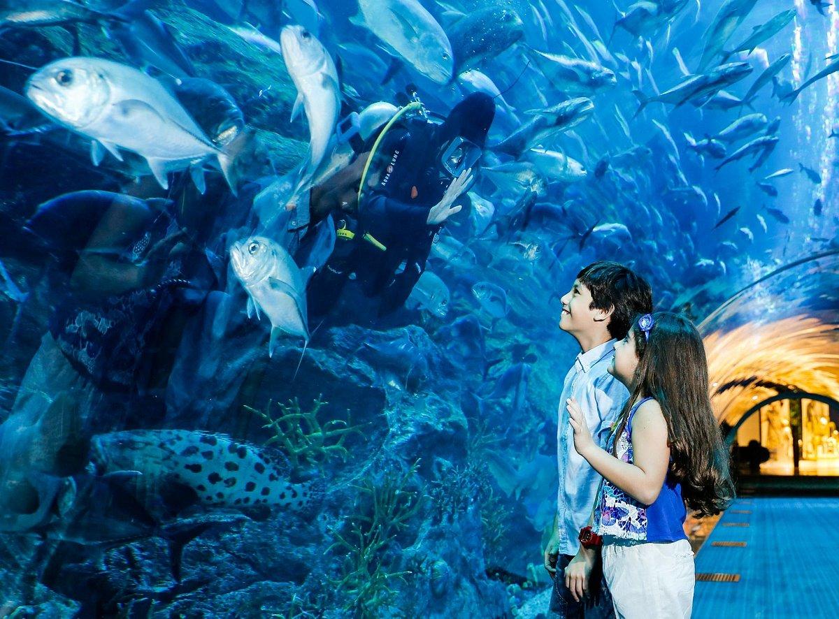 Dubai Aquarium & Underwater Zoo + Penguin Cove
