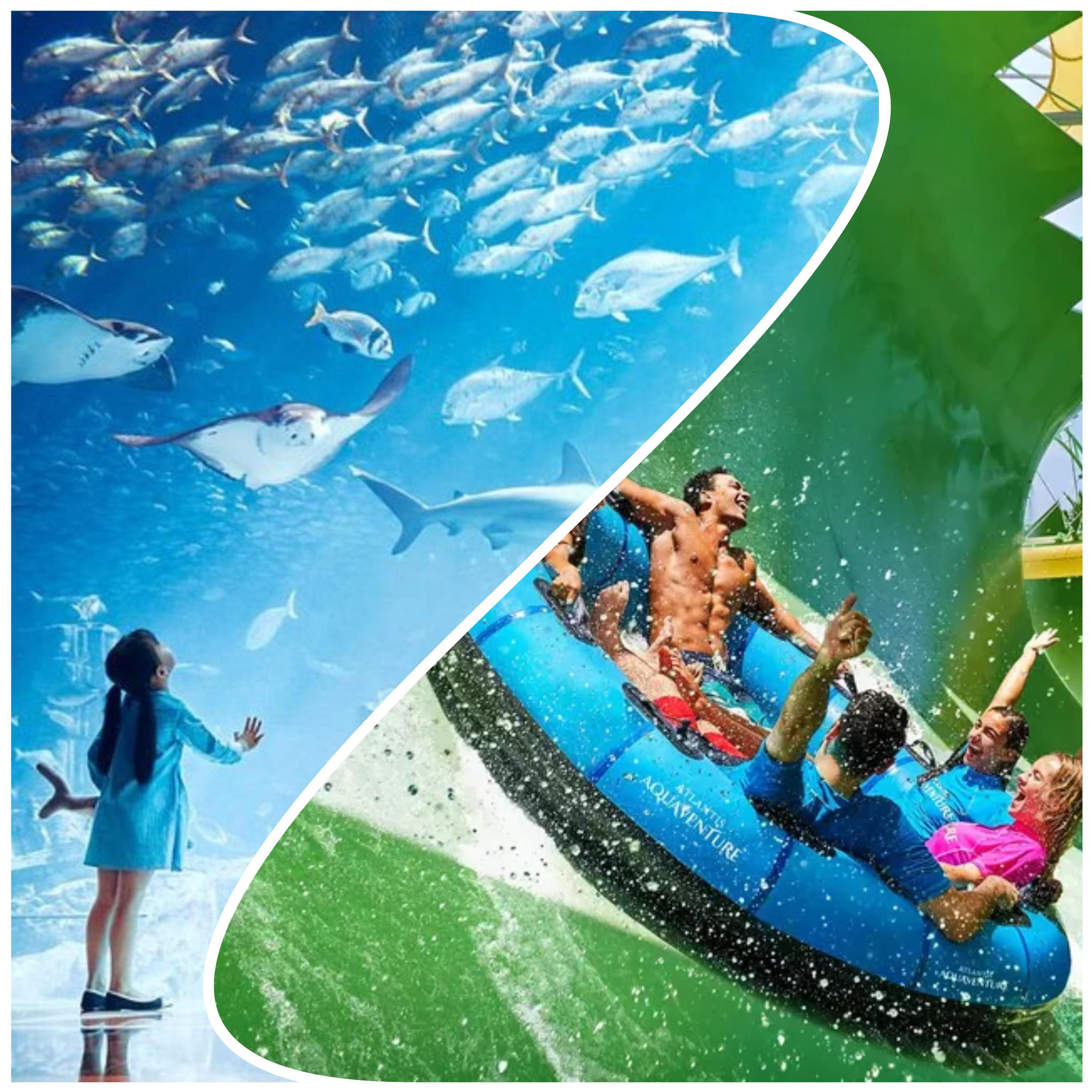 Atlantis Aquaventure Waterpark + Lost World Aquarium