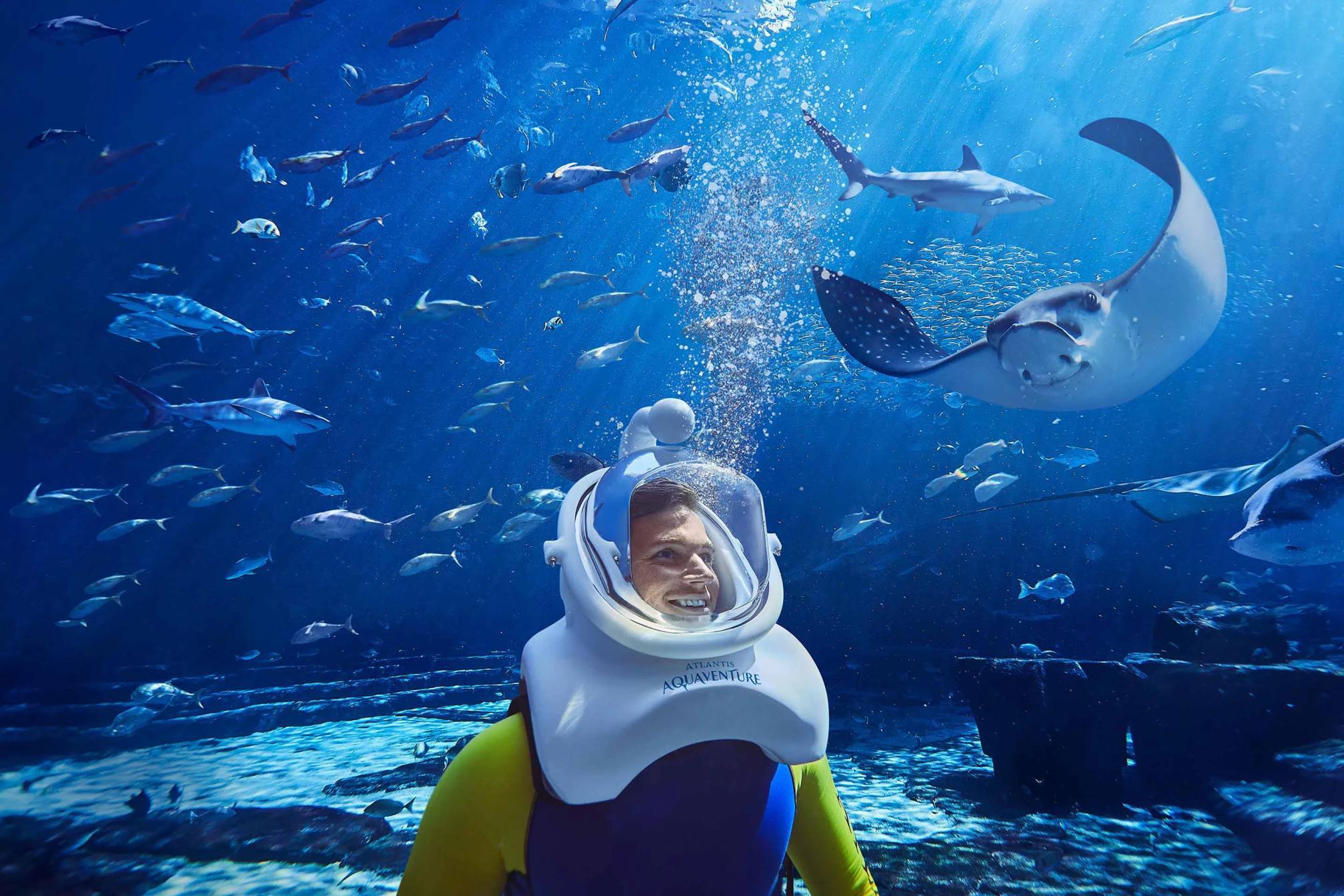 Atlantis Aqua Trek + Free Lost World Aquarium